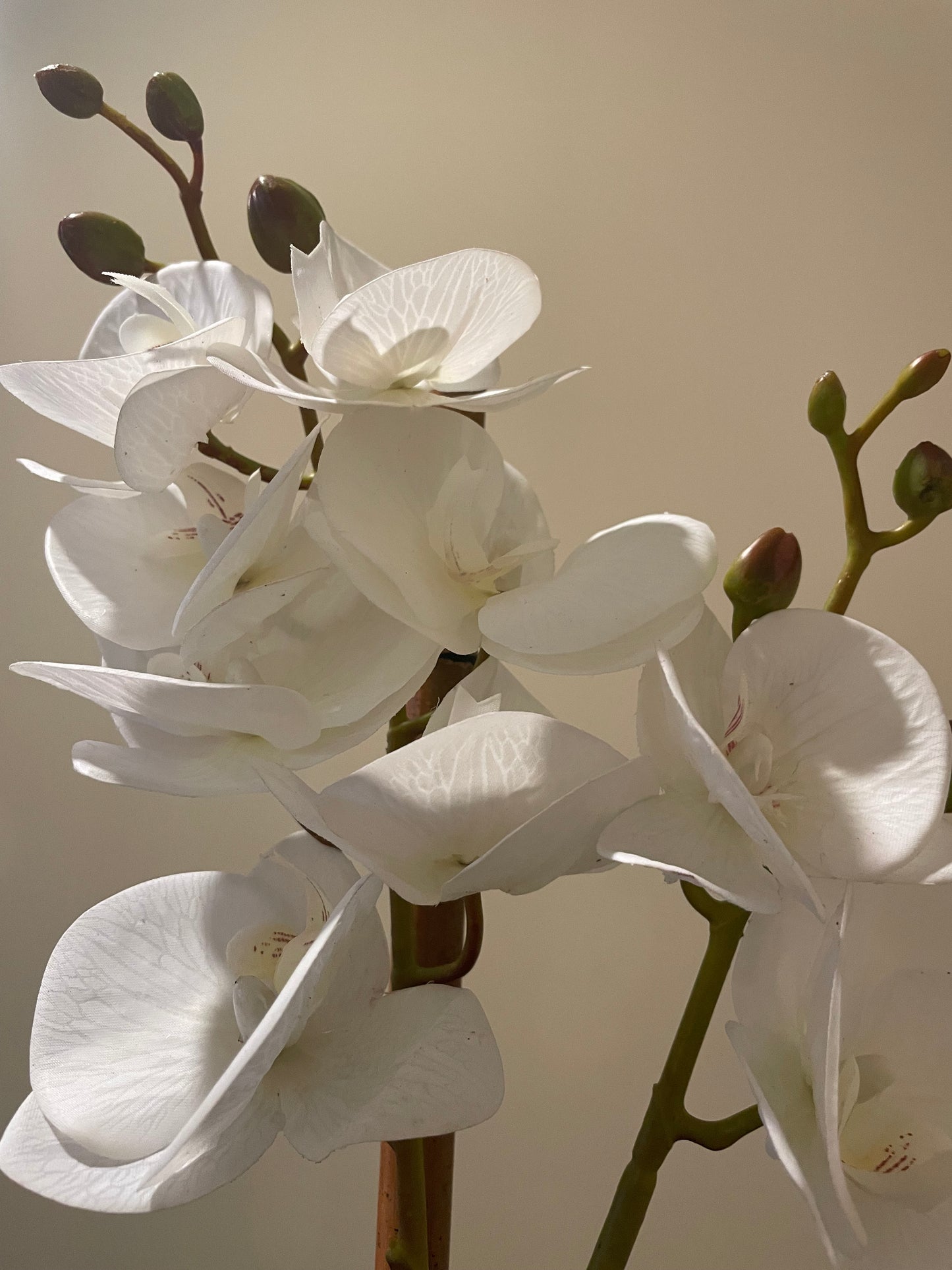 Artificial  real touch white Orchid arrangement