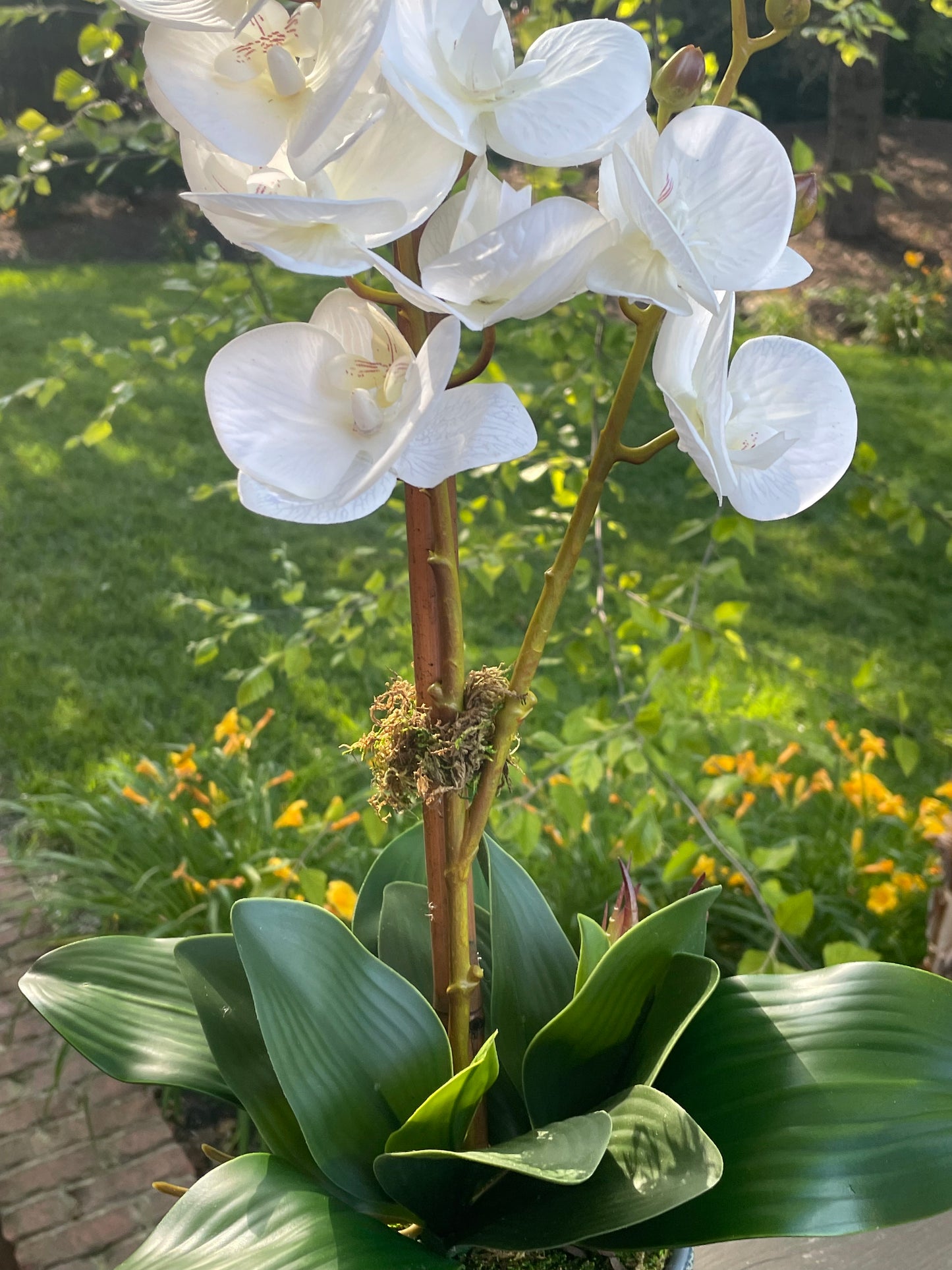 Artificial  real touch white Orchid arrangement