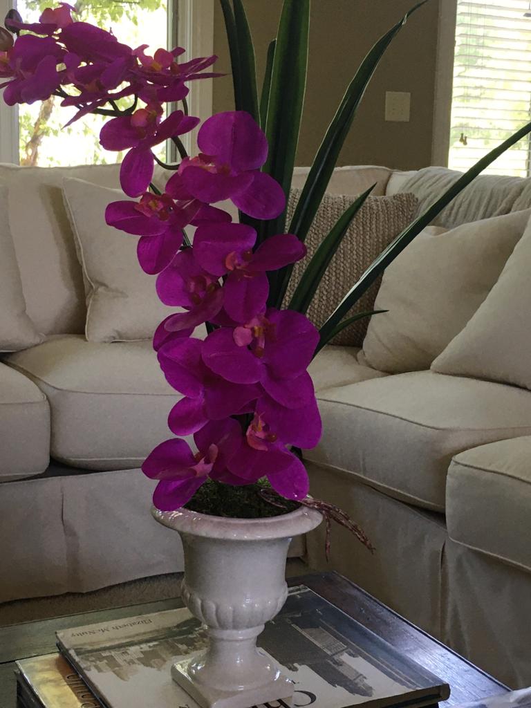 Orchid leaves in white vase